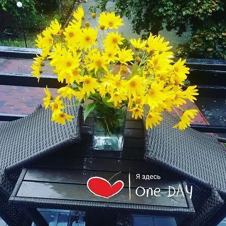 рено Готель